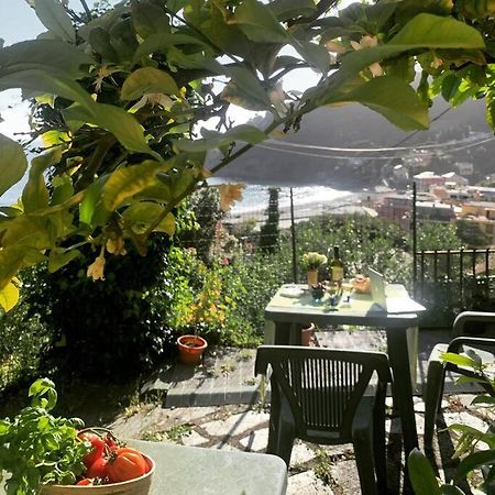 Апартаменты Cozy Beach House With Nice Garden, Basic Feel Бонассола Экстерьер фото