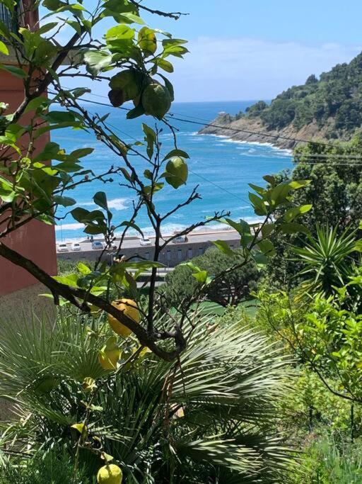 Апартаменты Cozy Beach House With Nice Garden, Basic Feel Бонассола Экстерьер фото